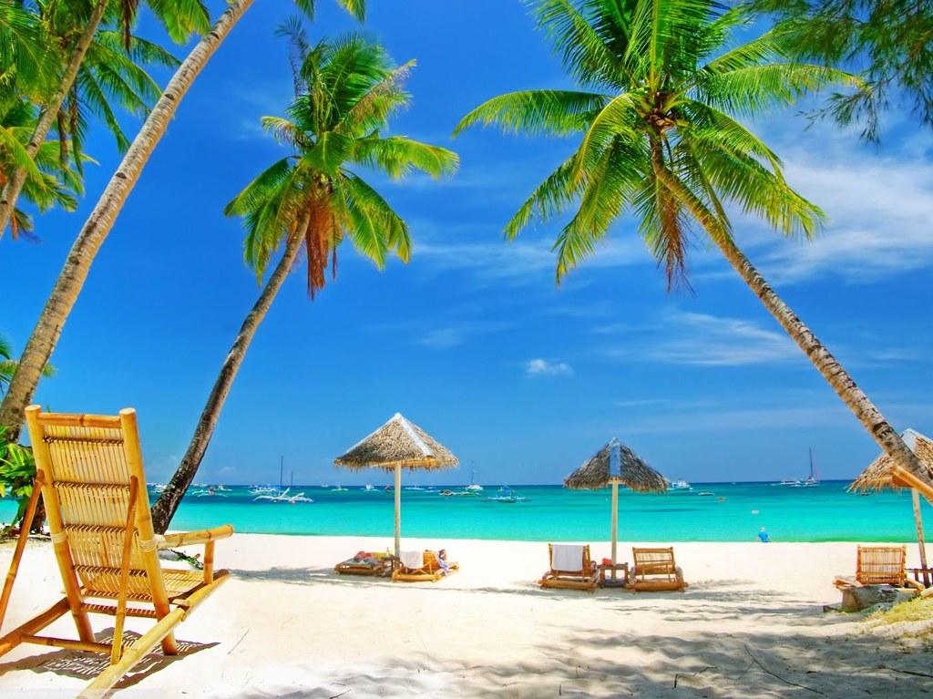 Tropical Beach Paradise Background