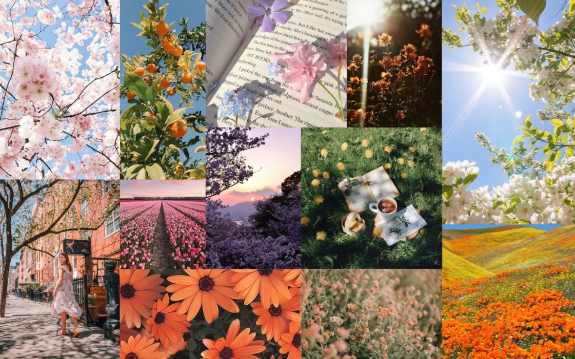 Wallpaper Spring Flower Aesthetic Macbook