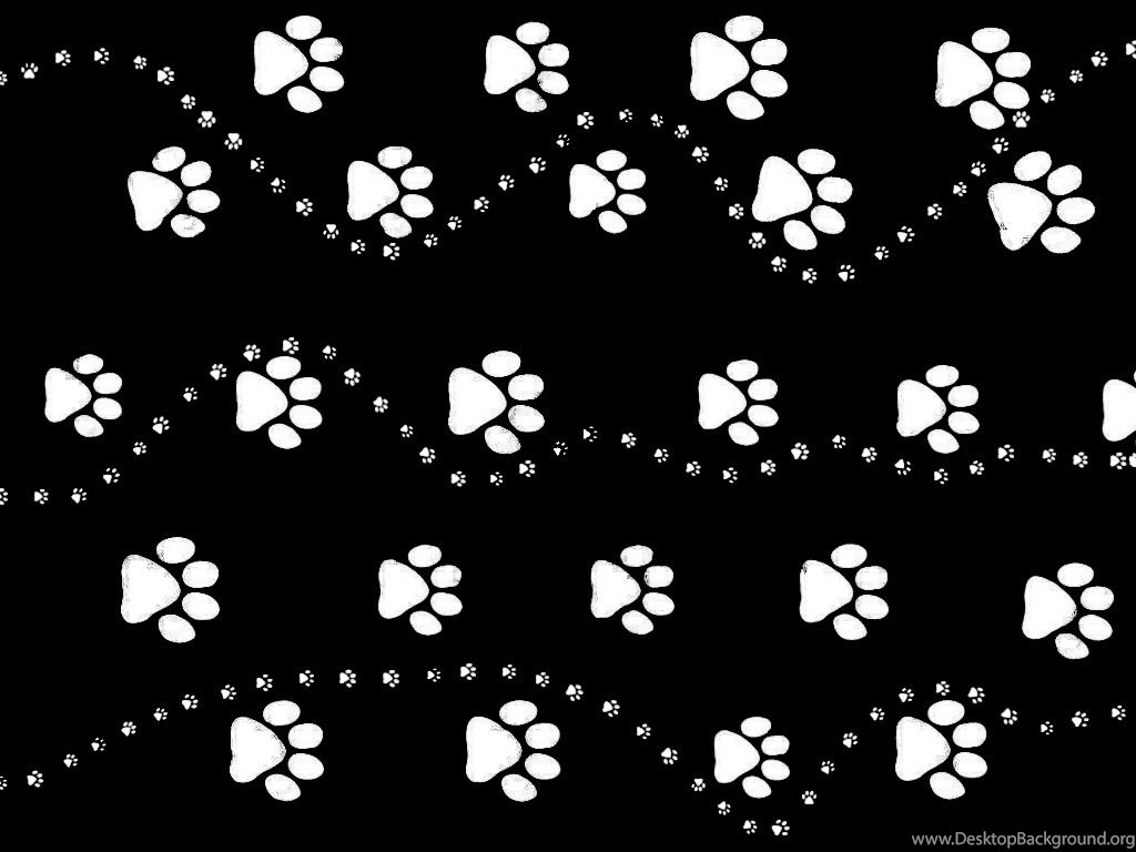 Dog Paws Wallpaper Image In Collection