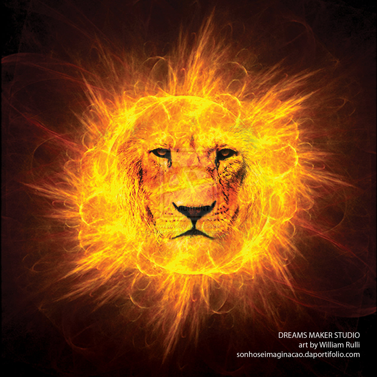 Lion Of Judah By Wro Designer