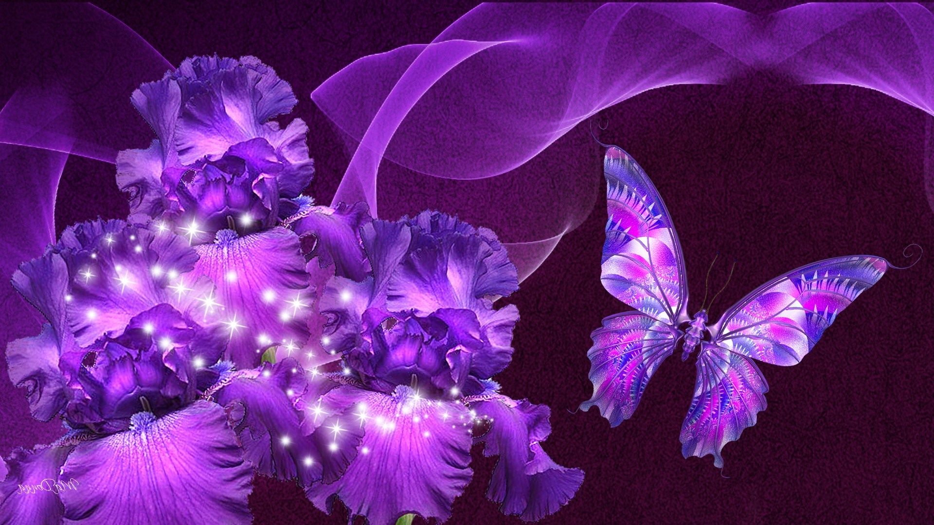 Purple Butterfly Near Flowers With White Sparkles HD Purple Wallpapers  HD  Wallpapers  ID 36995