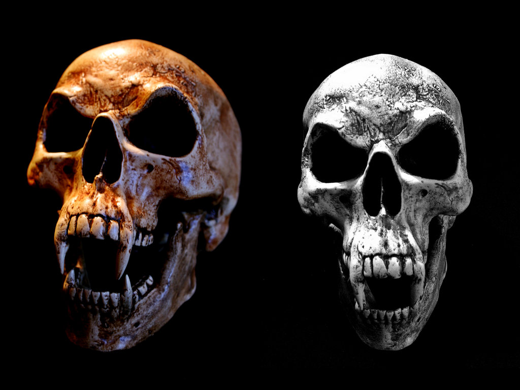 Vampire Skull By Skullsdirect
