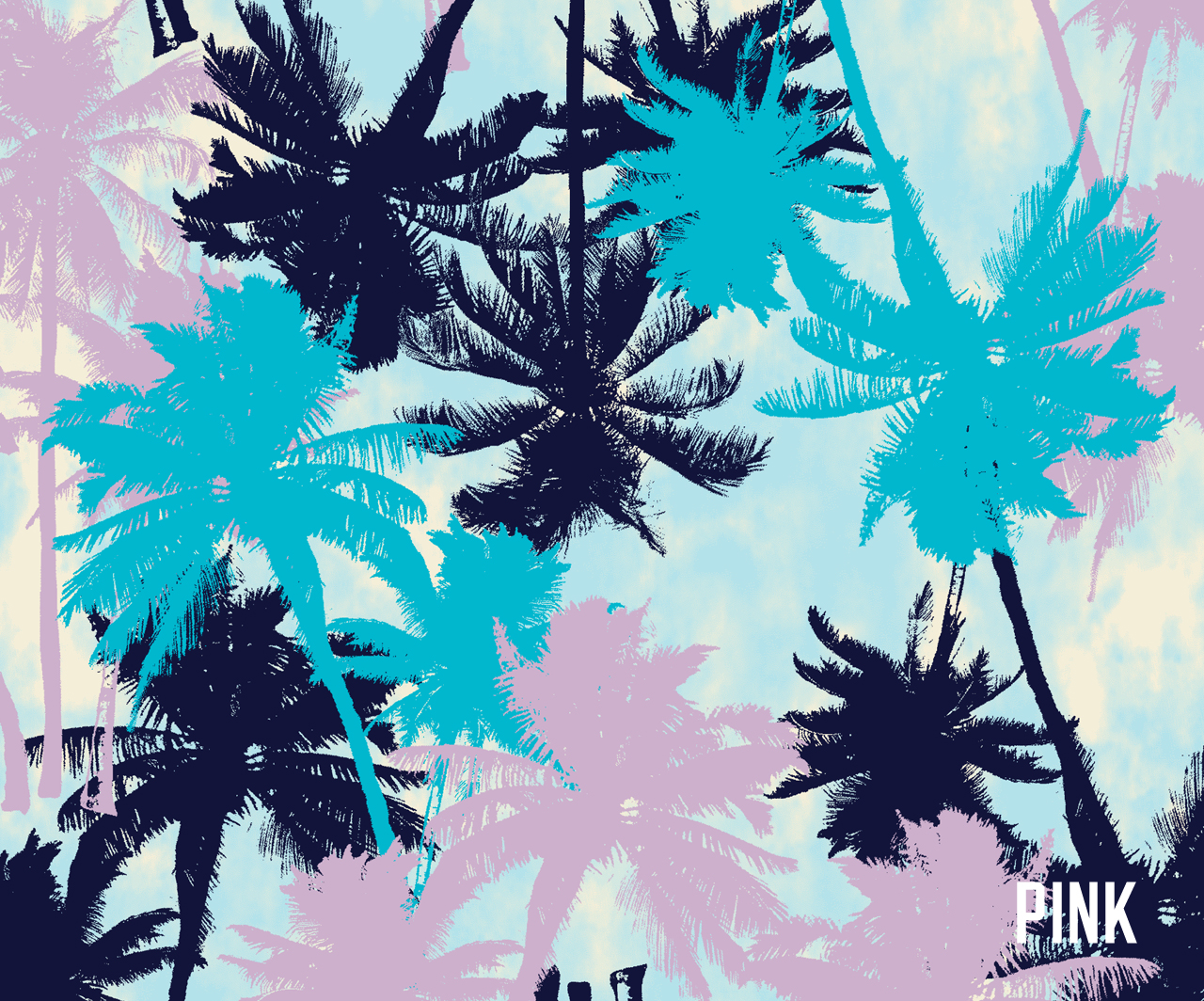 Vs Pink Nation Wallpaper Palmtrees Jpg