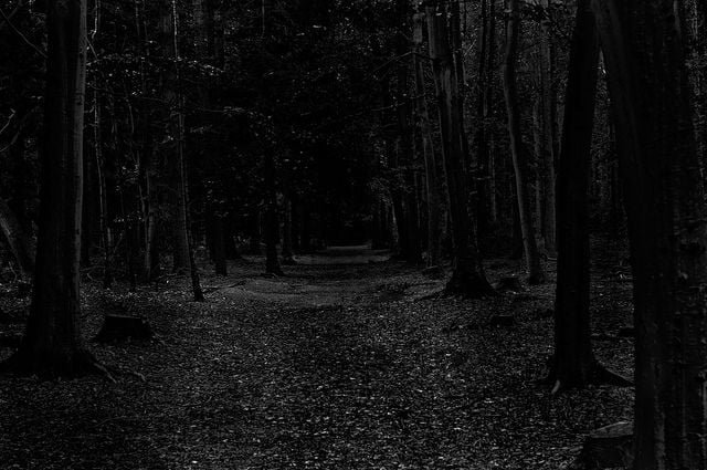 Scary Dark Forests Dark scary forest 640x425