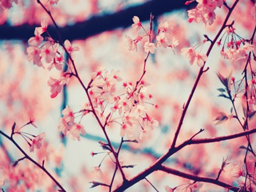 [49+] Tumblr Hello Spring Wallpaper | WallpaperSafari