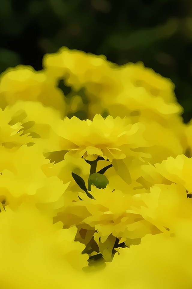 Yellow Flower Pattern iPhone HD Wallpaper