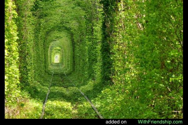 Tunnel Of Love In Ukraine Jpg
