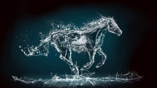 Wallpaper Water Horse 3d HD Desktop