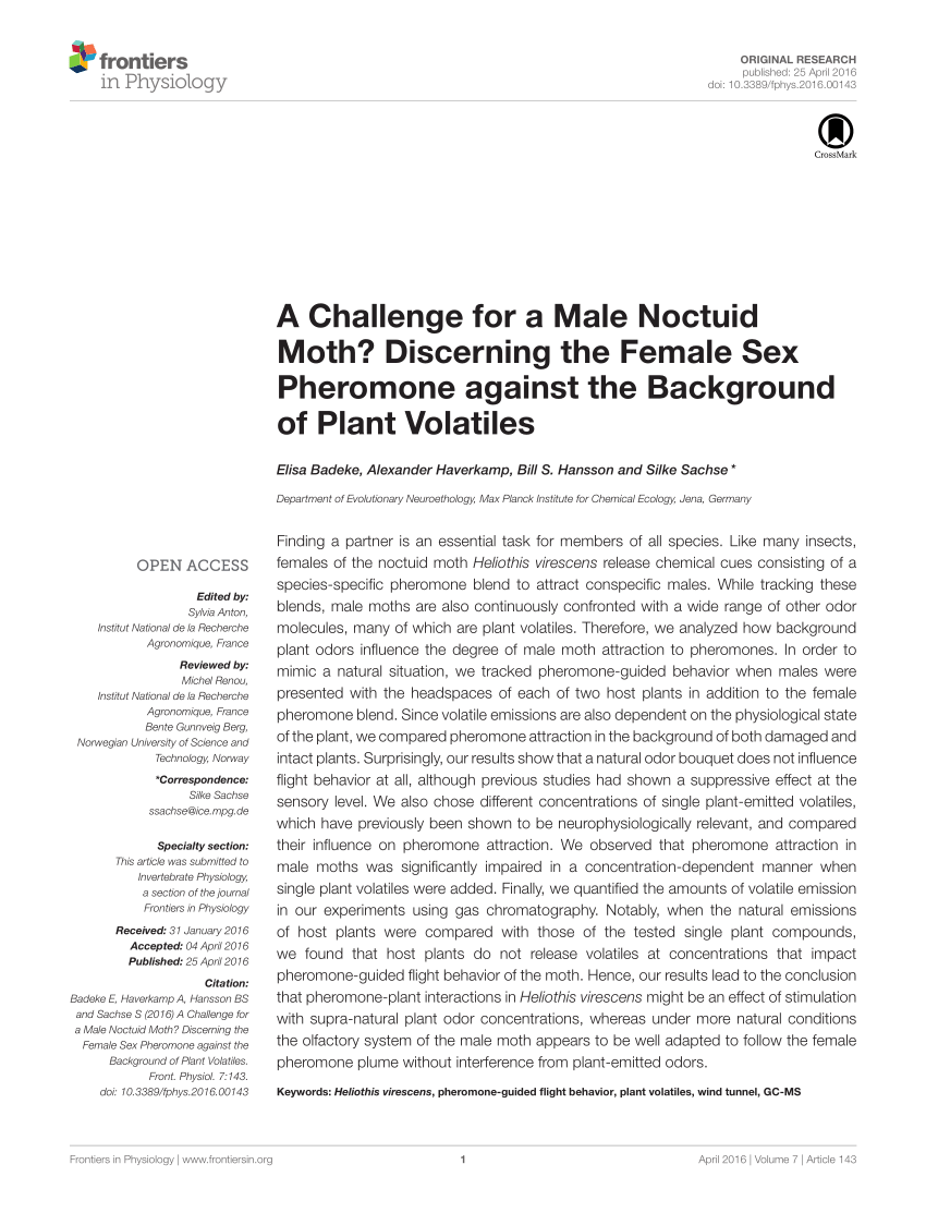 Pdf A Challenge For Male Noctuid Moth Discerning The Female