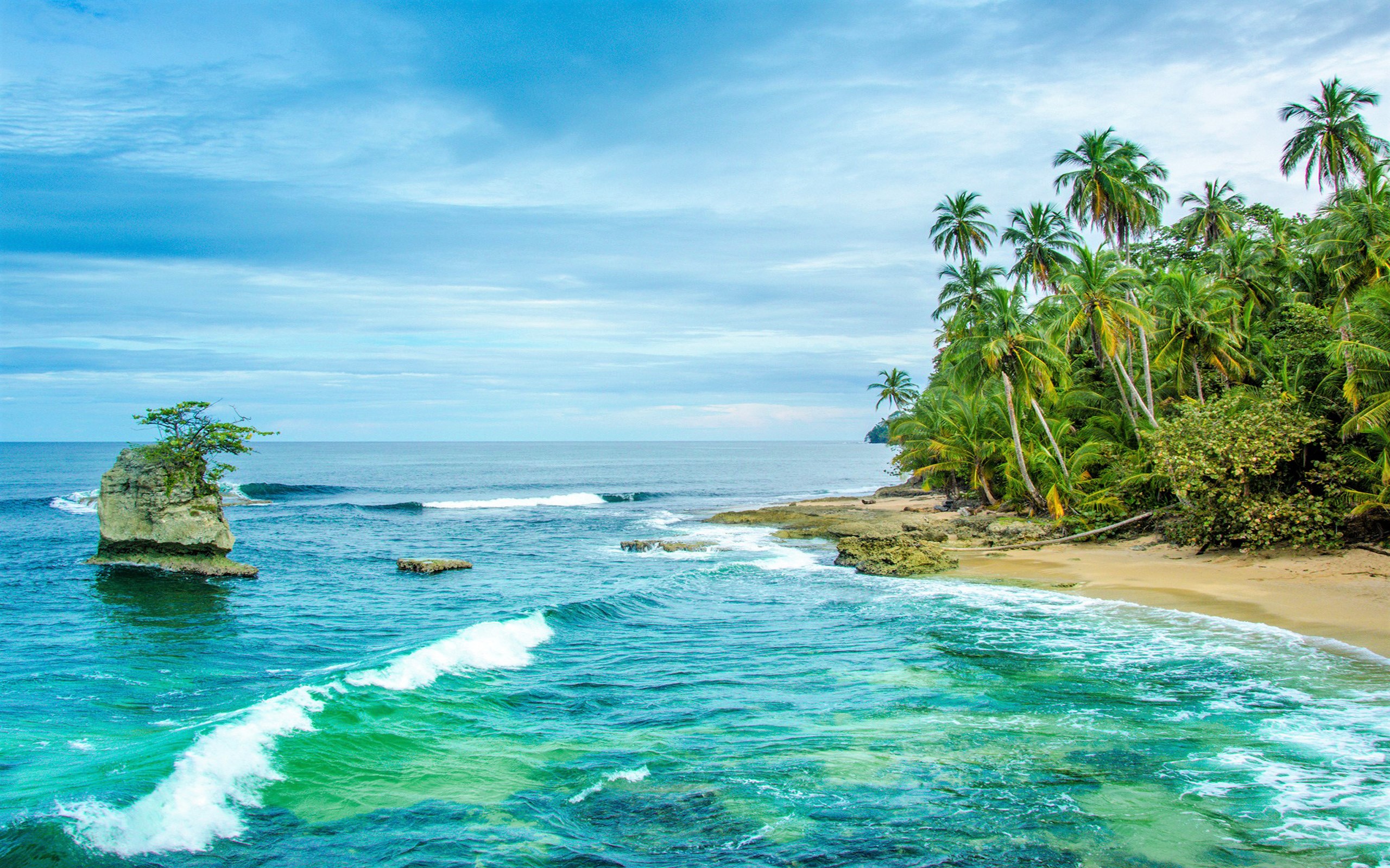 Costa Rican Beach HD Wallpaper Background Image Id