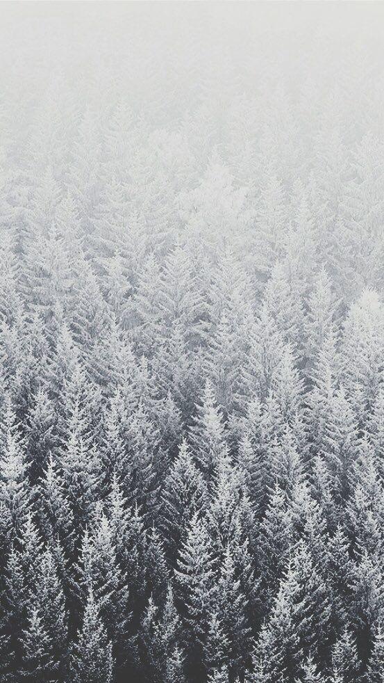 Snow Winter Trees iPhone Lock Screen Background Wallpaper
