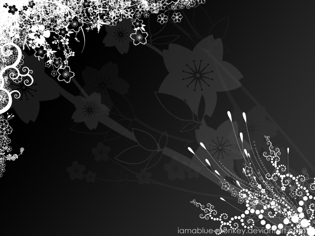 Black And White Background Photos, Download The BEST Free Black