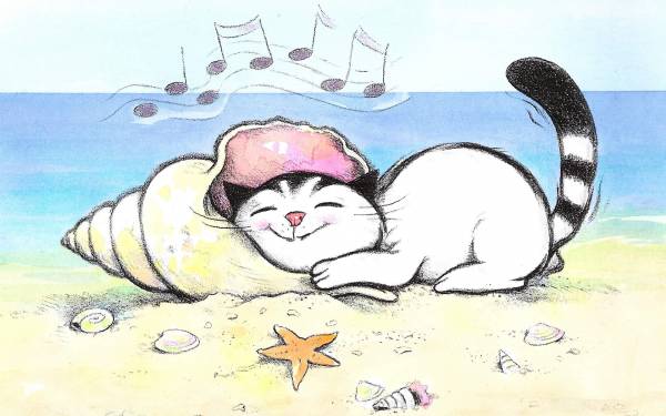 Funny Cat Drawing Shell Sea Desktop Wallpaper Hq Photo