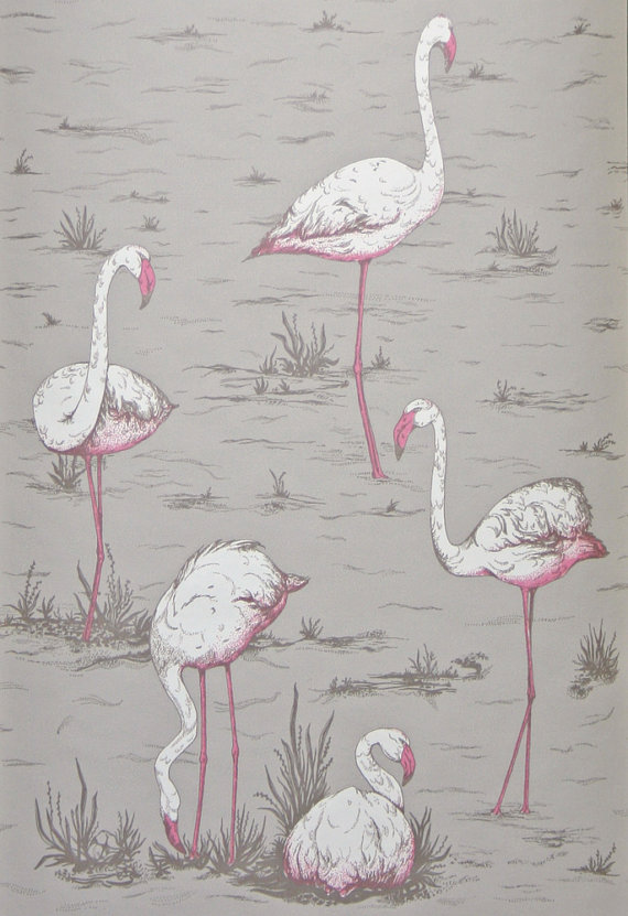 Cole And Son Wallpaper Flamingos Taupe Grey One Metre By Romolly