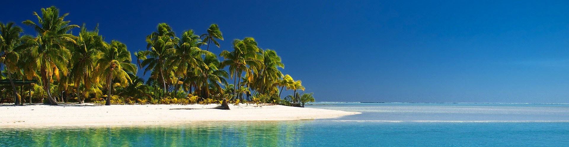 Beach Landscape Wallpaper Tropical Island Memes