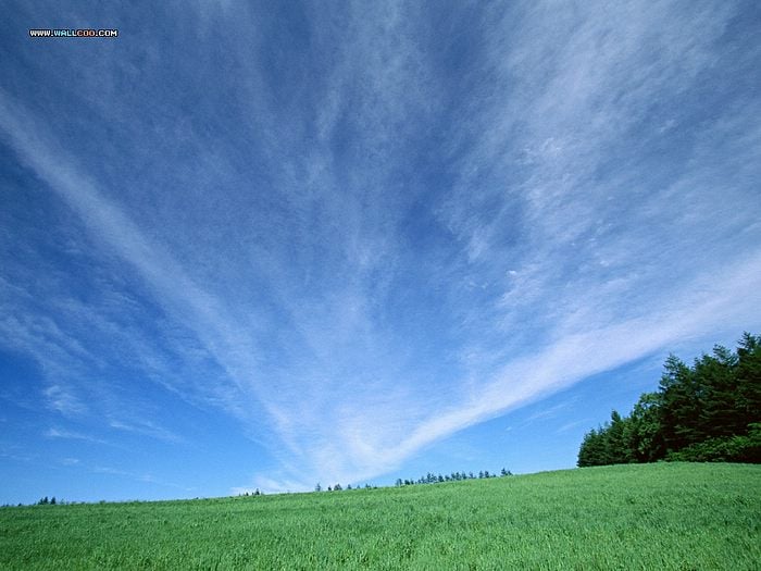 Beautiful Country Farm Scene Photography Perfect Wallpaper