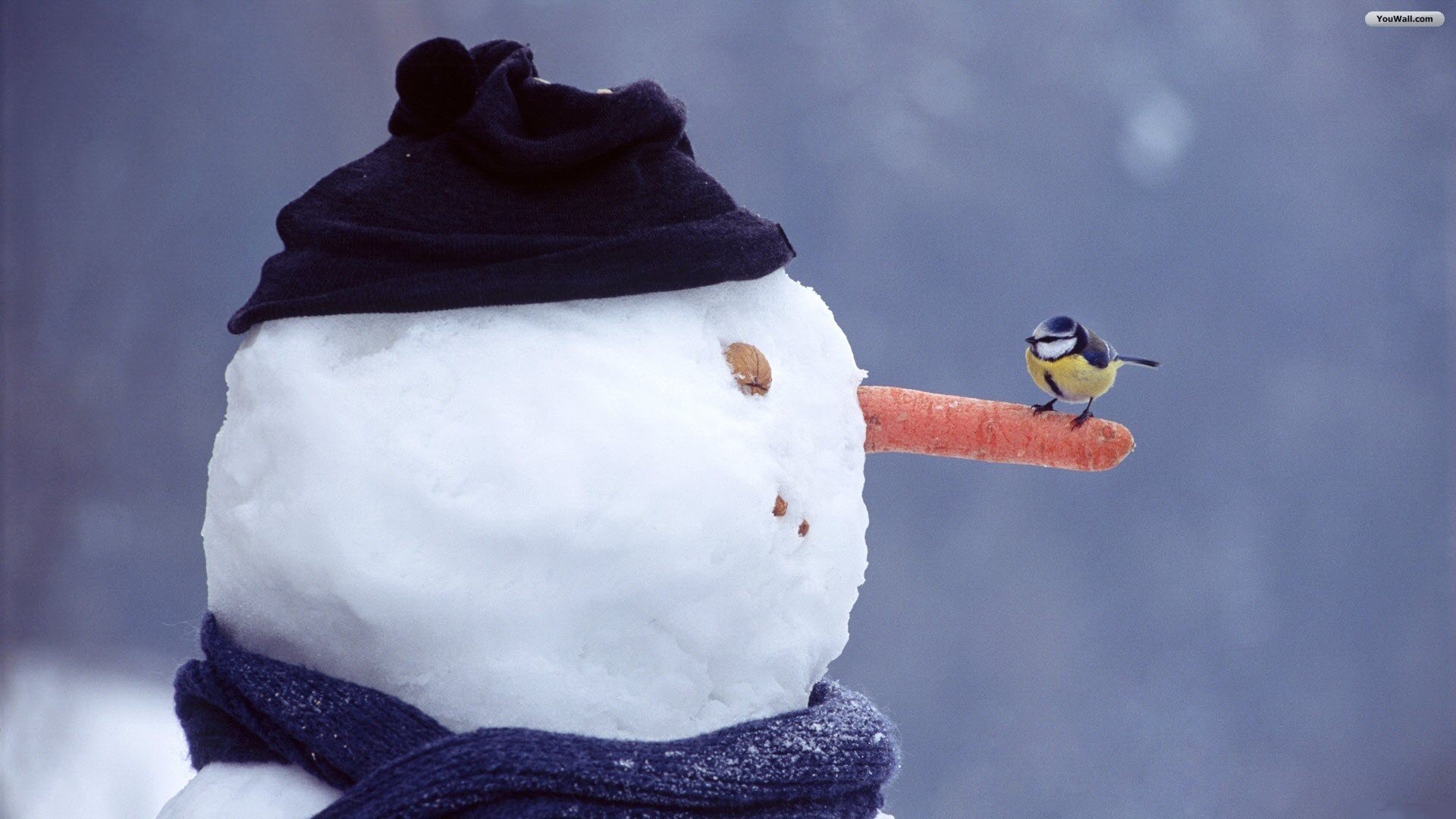 Snowman And Sparrow Wallpaper