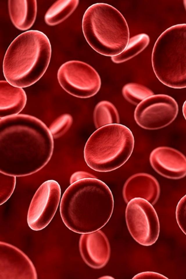 Red Blood Cell Wallpaper HD Teahub Io