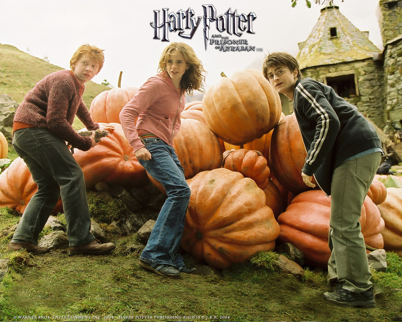 The Golden Trio Harry Ron And Hermione Wallpaper