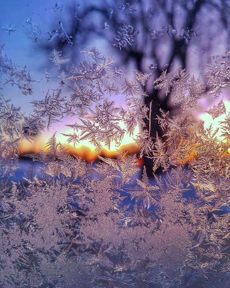 Winter Solstice HD Wallpaper