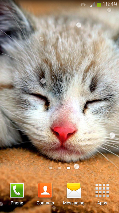 Cute Cats Live Wallpaper Android Apps On Google Play