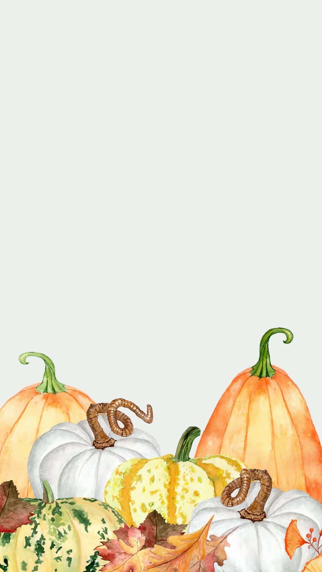 Cute Fall Background Wallpaper