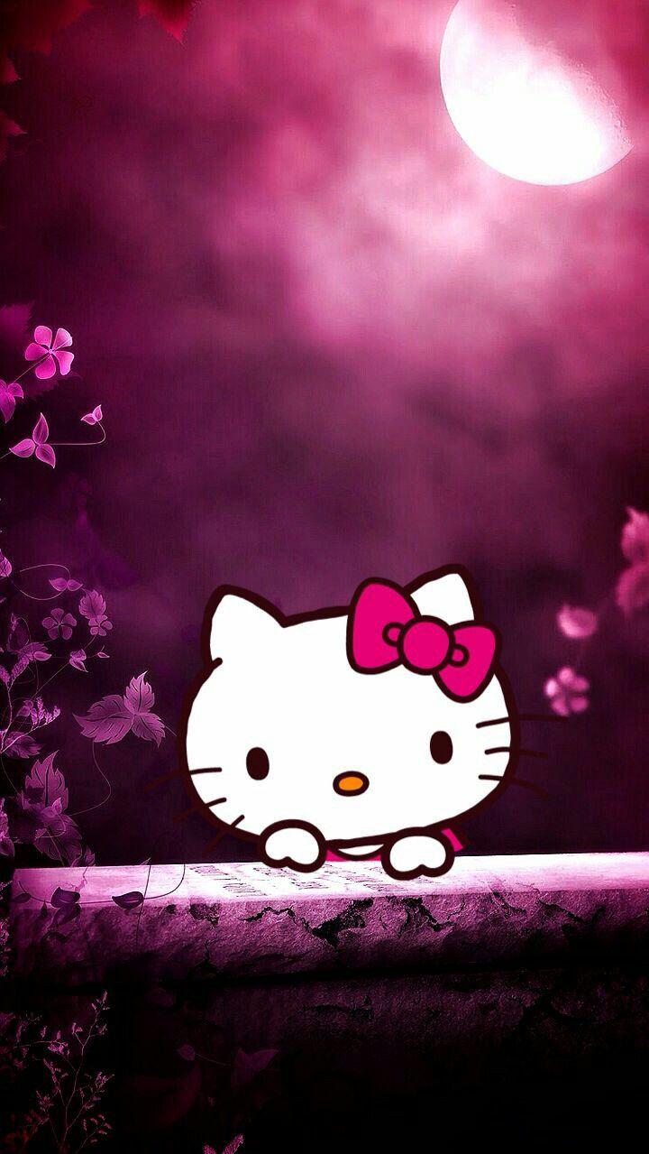 Respect The Kitty Hello Background Wallpaper