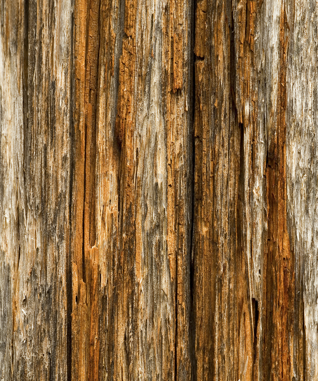 [45+] Old Wood Wallpapers | WallpaperSafari