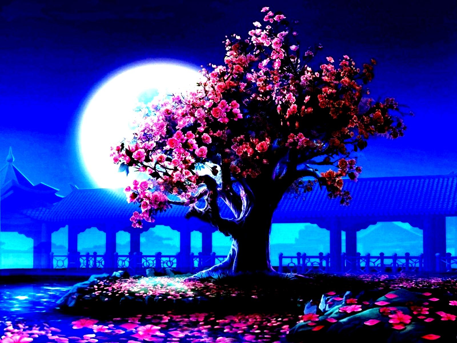 Pink Tree In The Moonlight Wallpaper And Background Image
