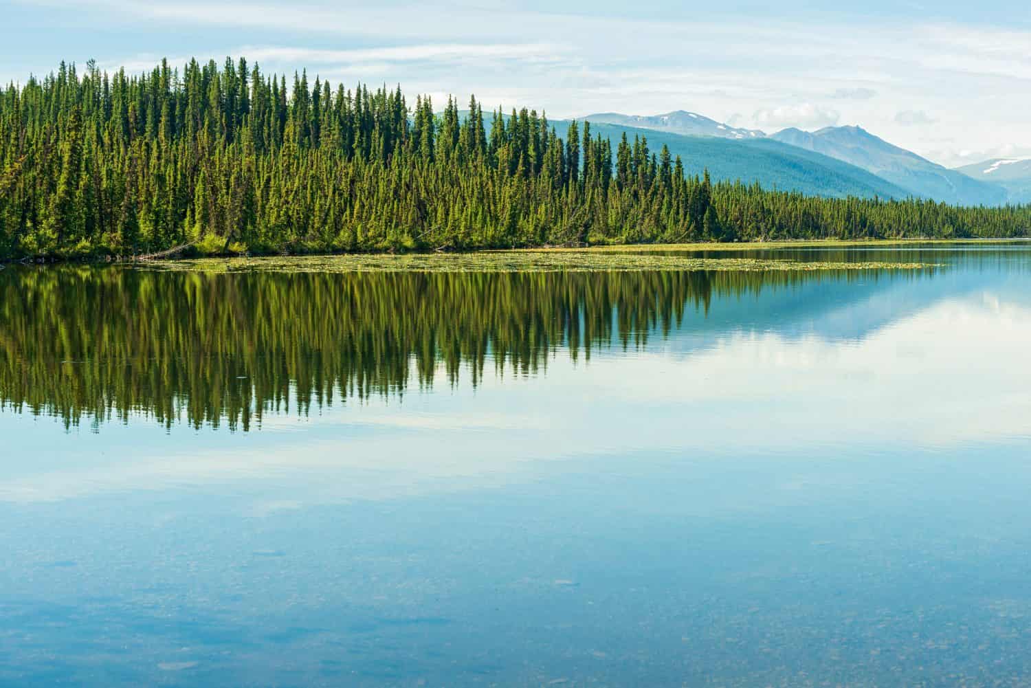 What Is A Lake Features That Define Wallpaper