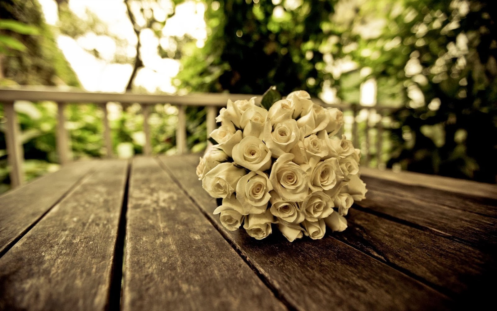 Art Picture Wallpaper