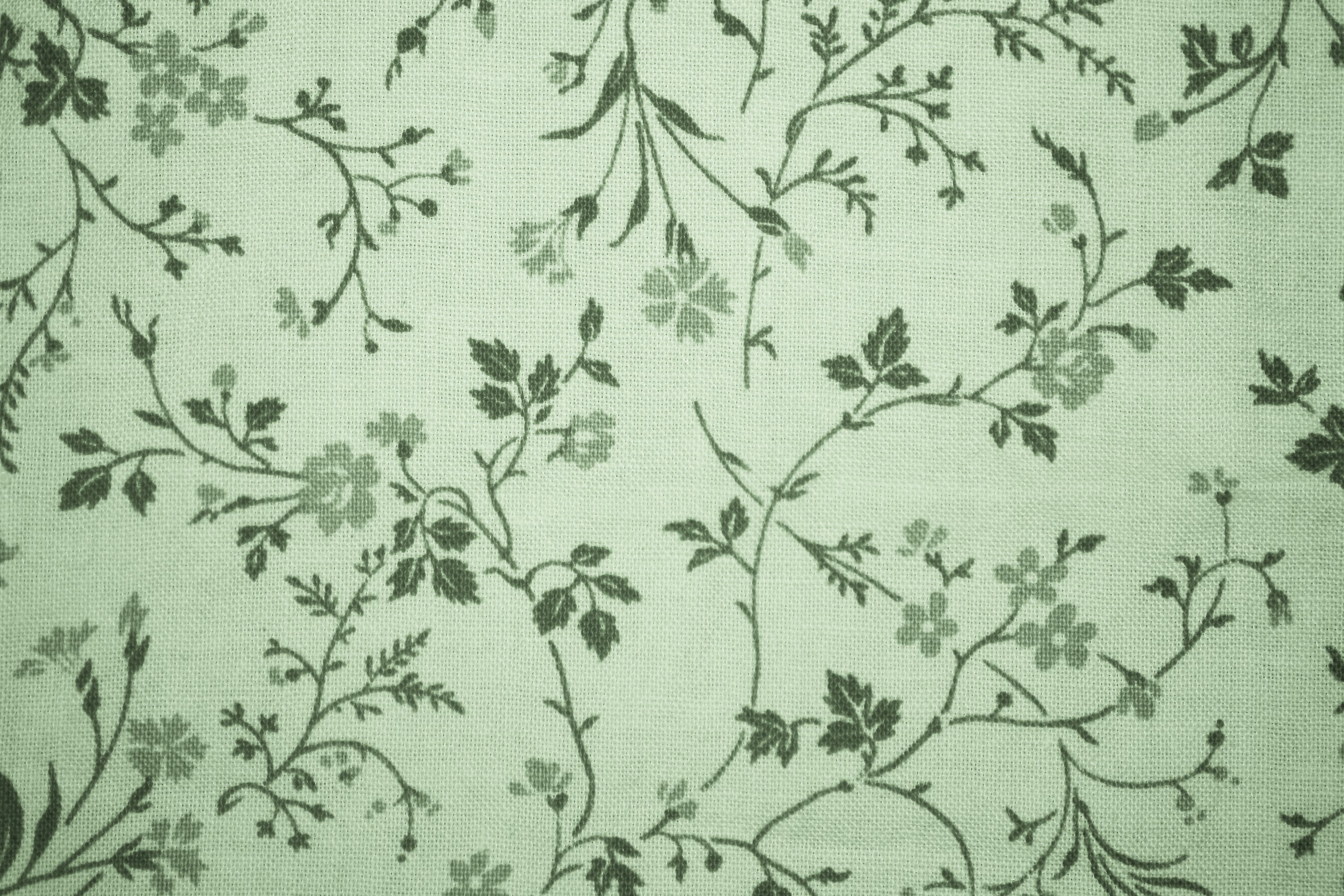 Sage Green Floral Print Fabric Texture   Free High Resolution Photo
