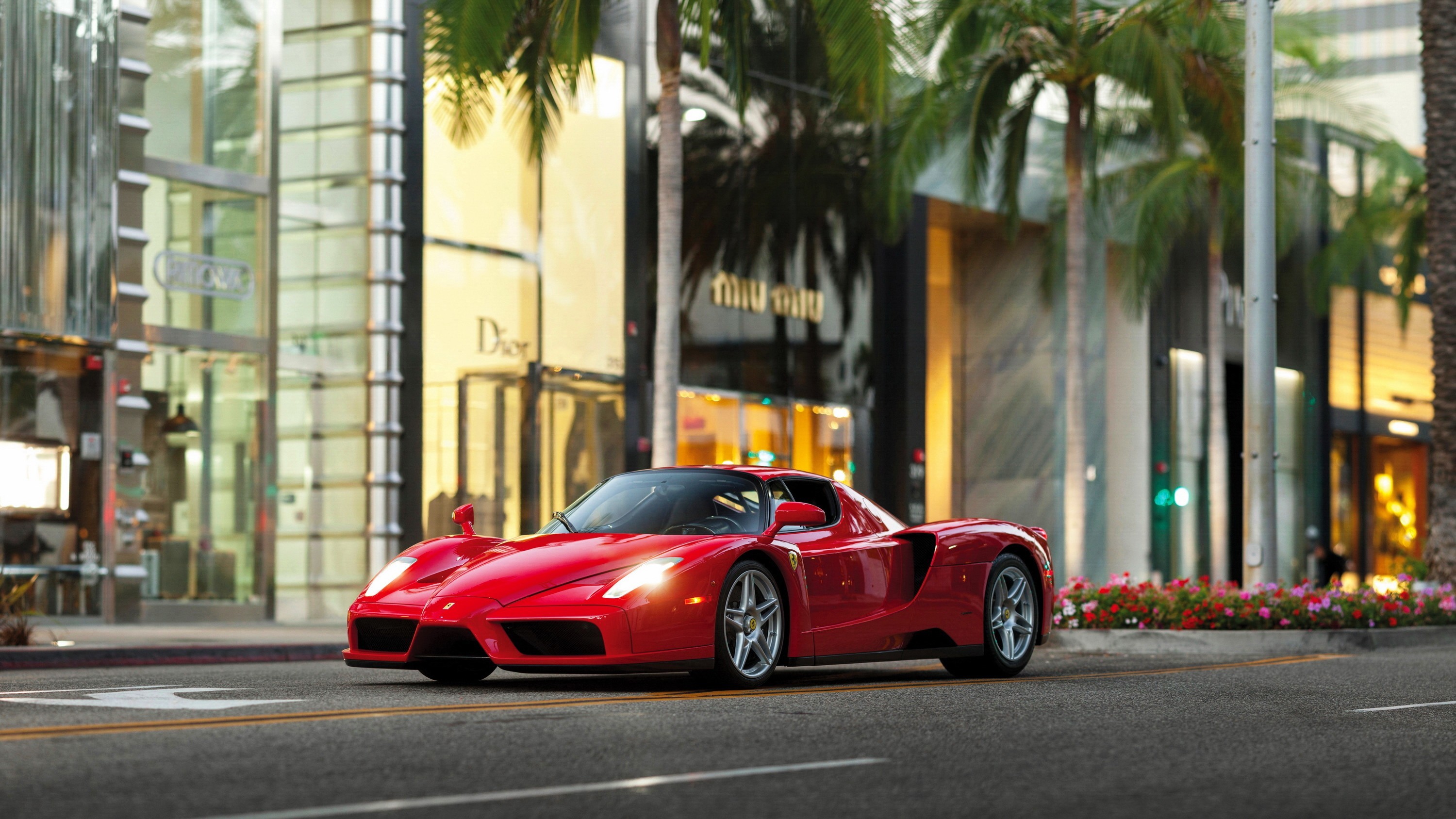 Ferrari Enzo Wallpaper Image
