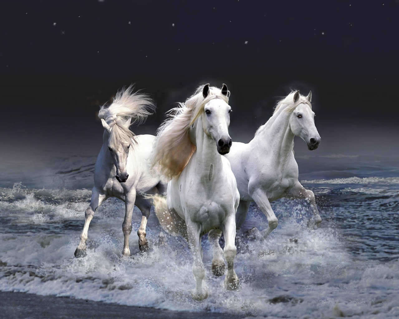 Beautiful White Horses Wallpaper