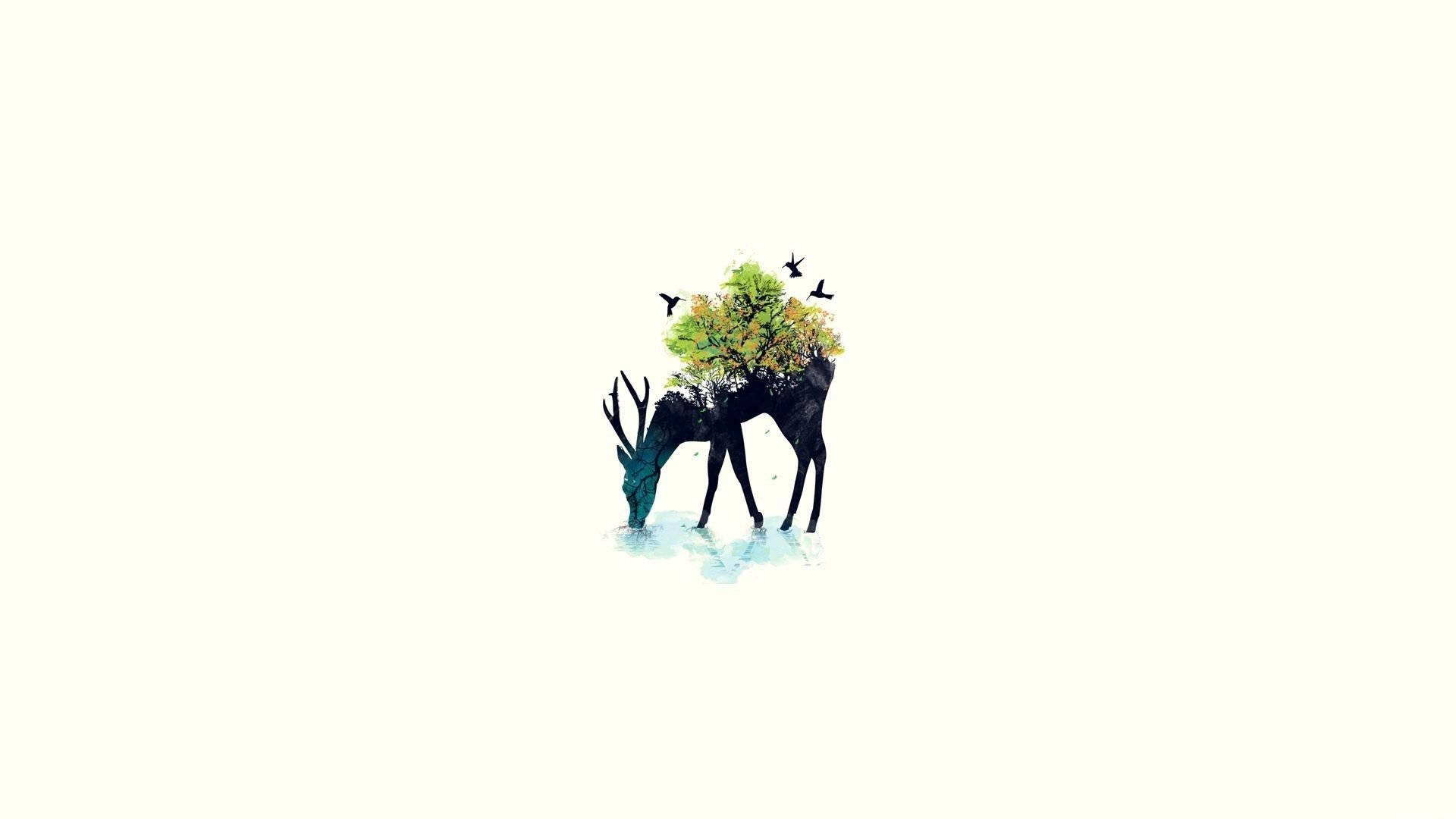 Minimalist Nature Wallpaper