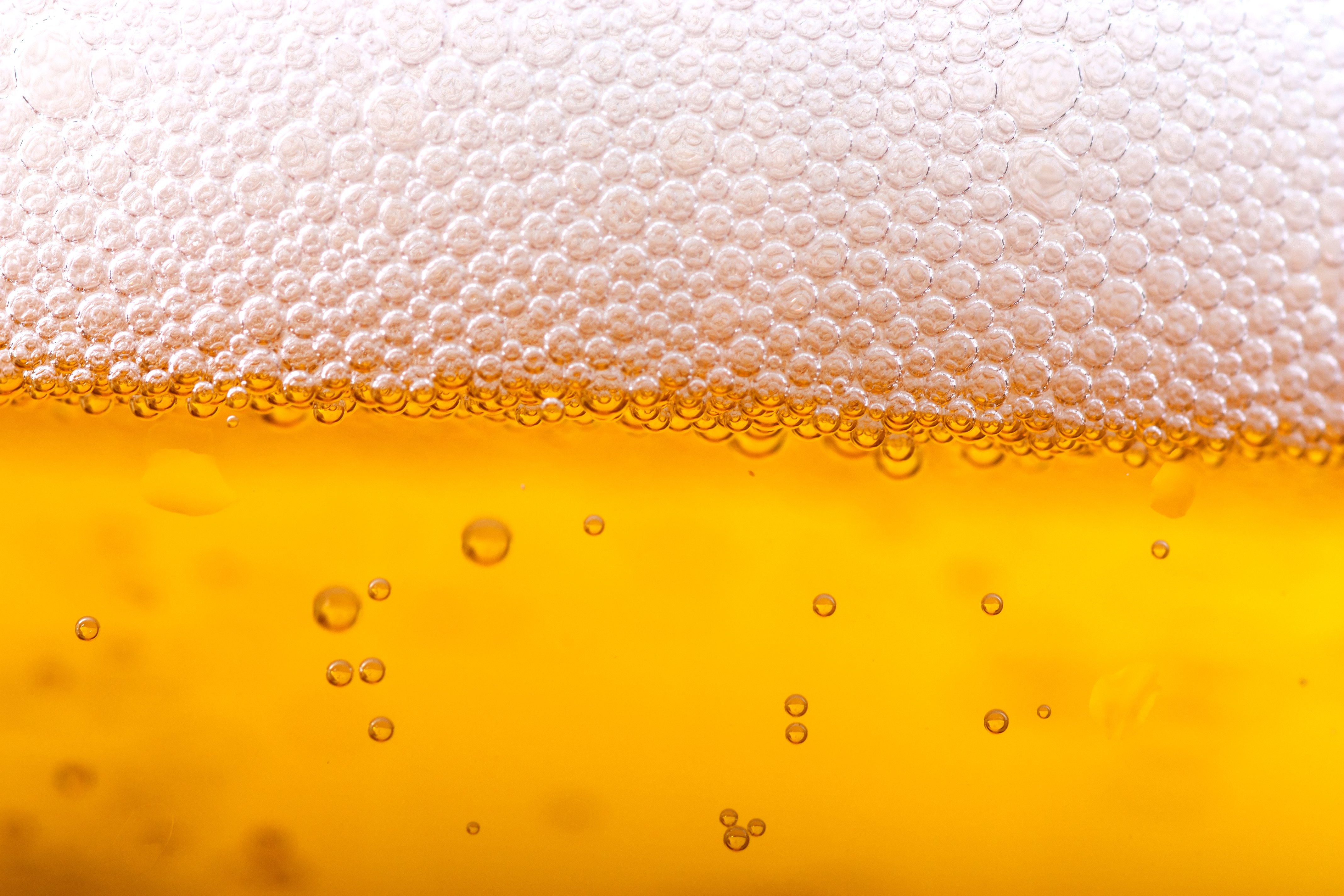 Beer Wallpaper Collection For Free Download