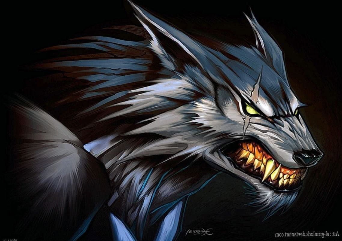 Anime Wolf Wallpapers 77 images