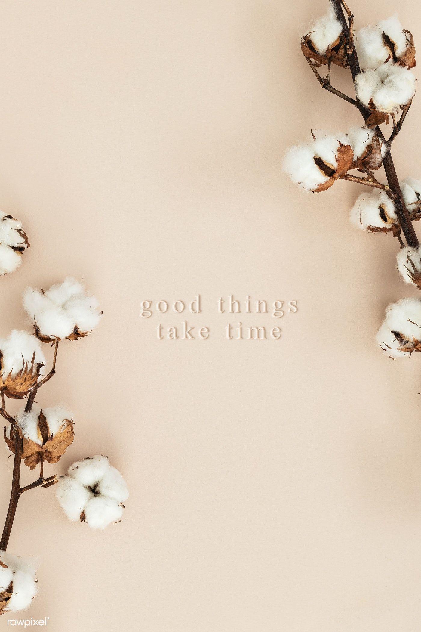 Cotton Flower Branch On A Beige Background Mockup Premium Image