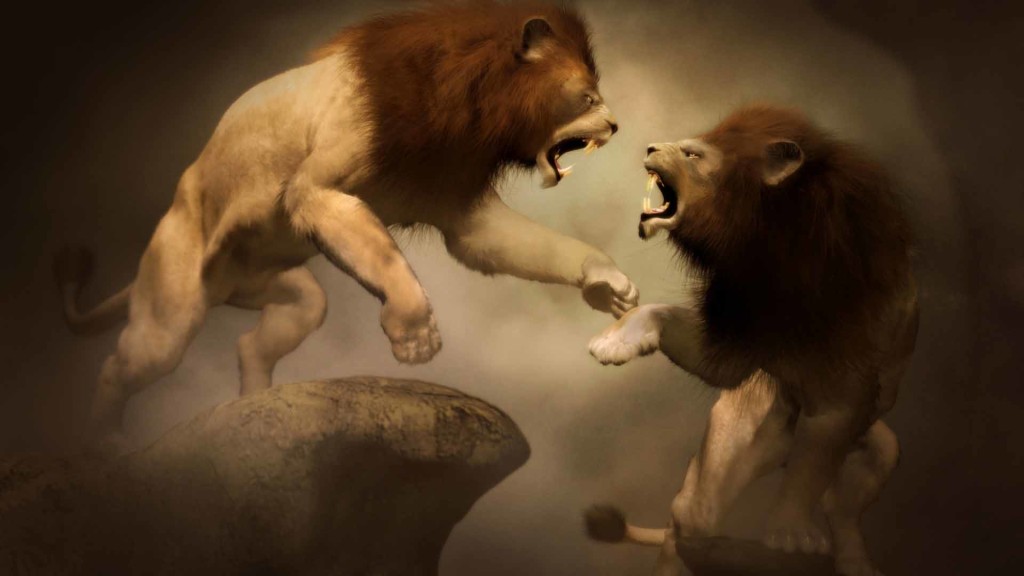 Lion king disney animation HD phone wallpaper  Peakpx