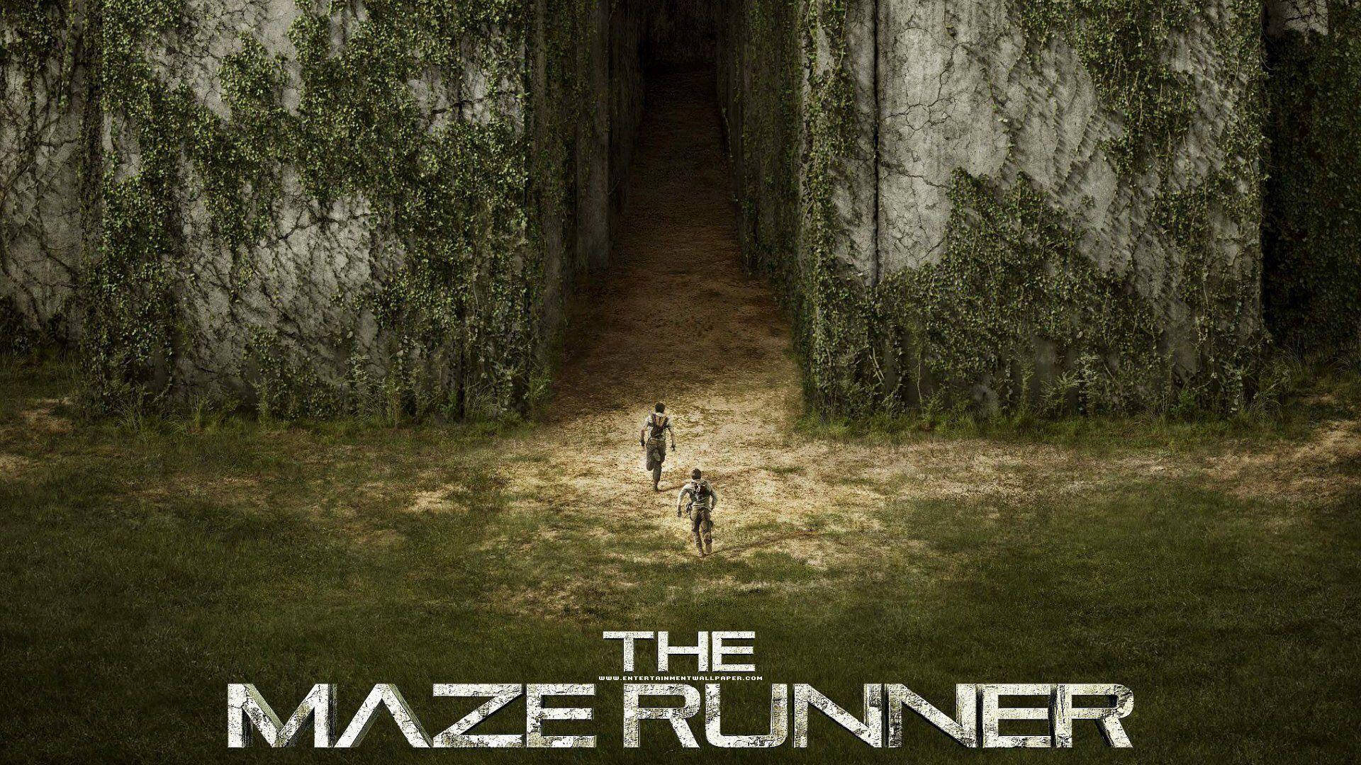Maze Wallpaper