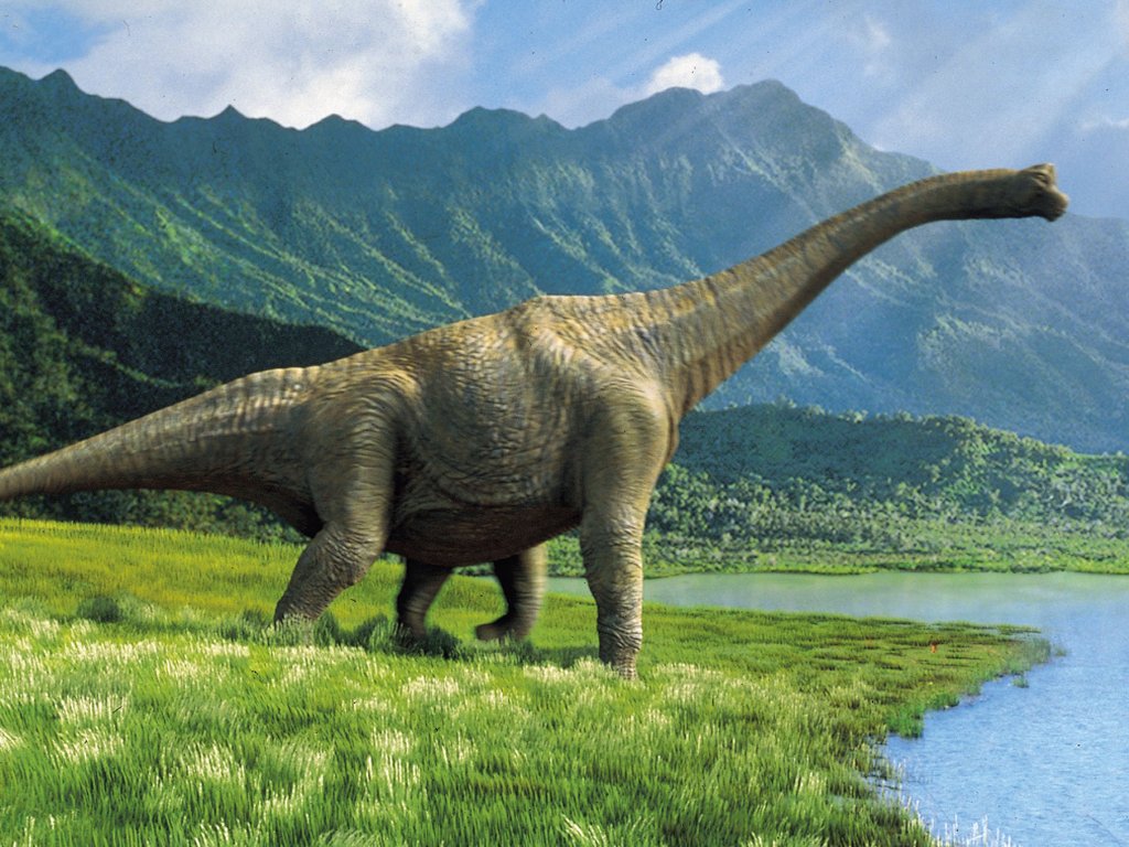 Dinosaur HD Wallpaper Image For Full