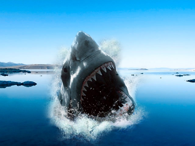 Jaws On Android Lake 640x480 Wallpaper For android New Mobile 640x480