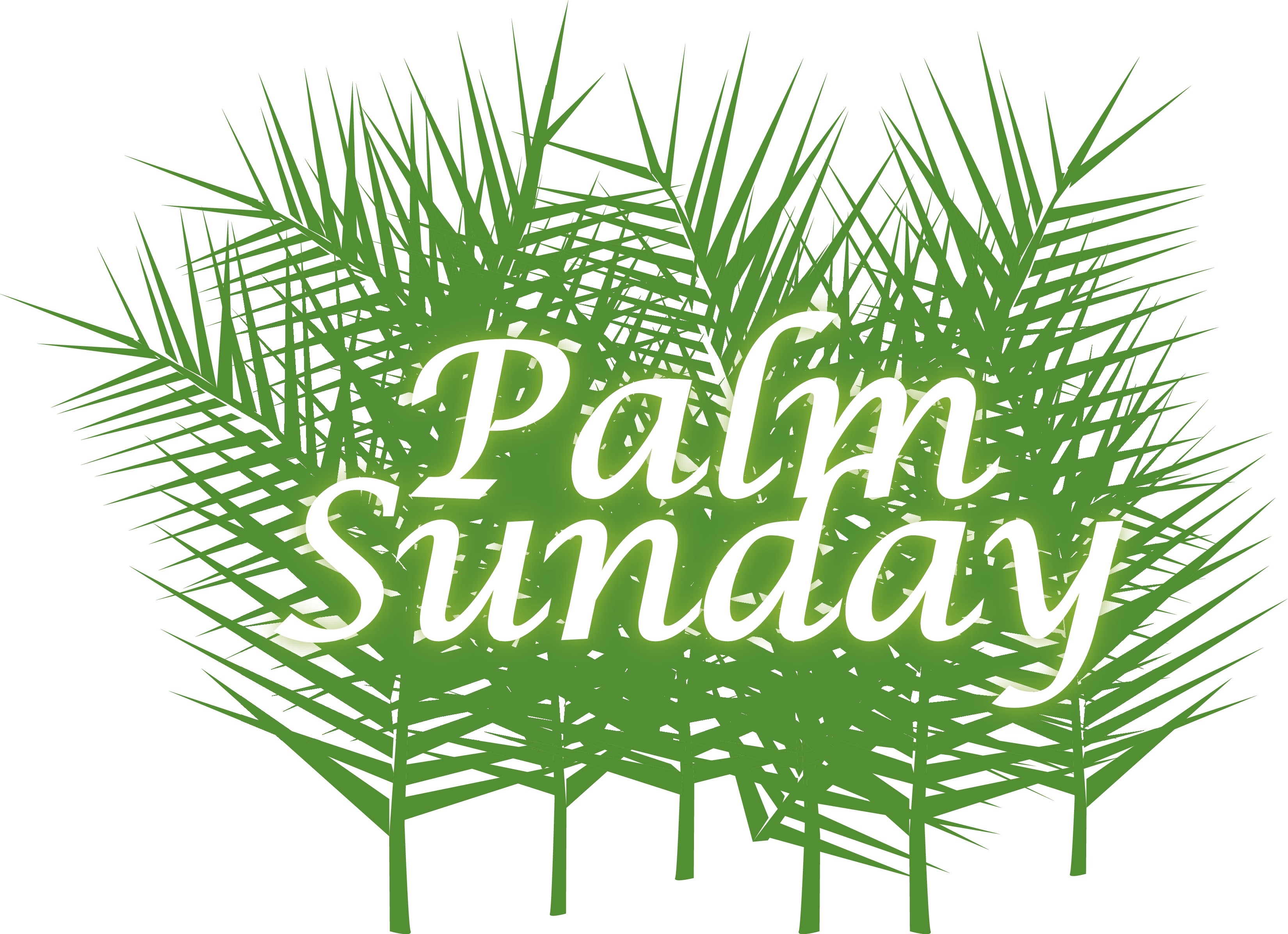 palm sunday with green fronds wallpaper West Park Presbyterian 3300x2392