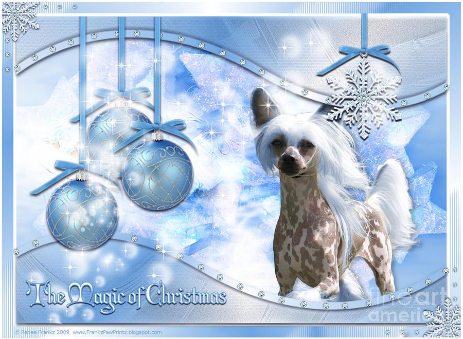 Christmas   Magic of Christmas   Chinese Crested Digital Art by