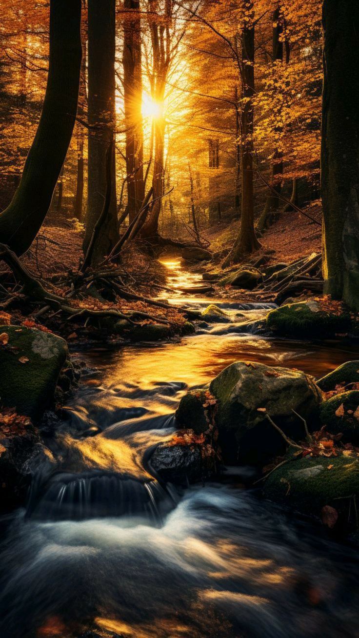 Beautiful Fall Wallpaper Artofit