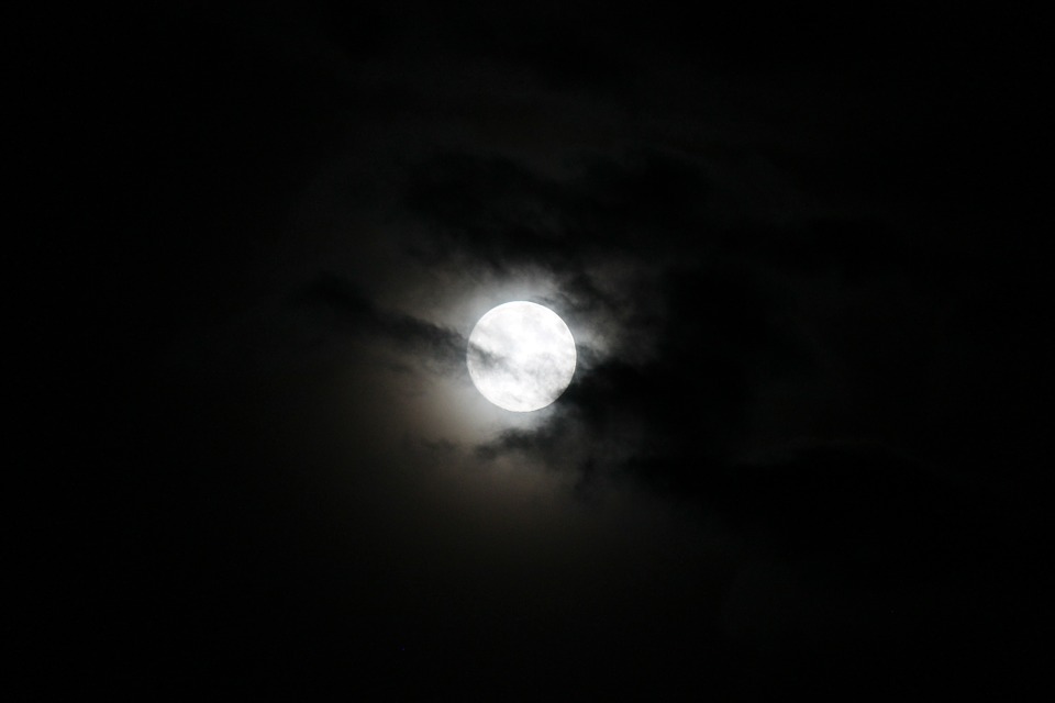 Moon Night Moonlight Photo On