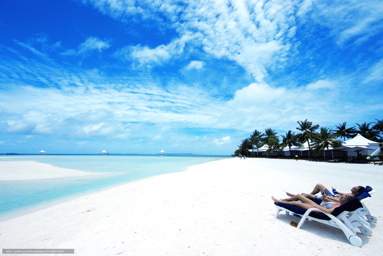 Wallpaper Maldives Beach Palm Trees Desktop