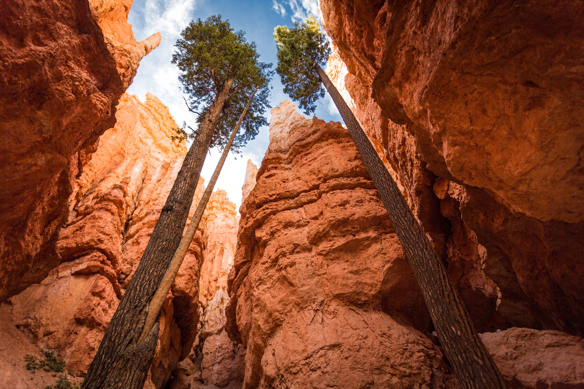 canyon national park bryce canyon Wallpaper tags Nature usa utah