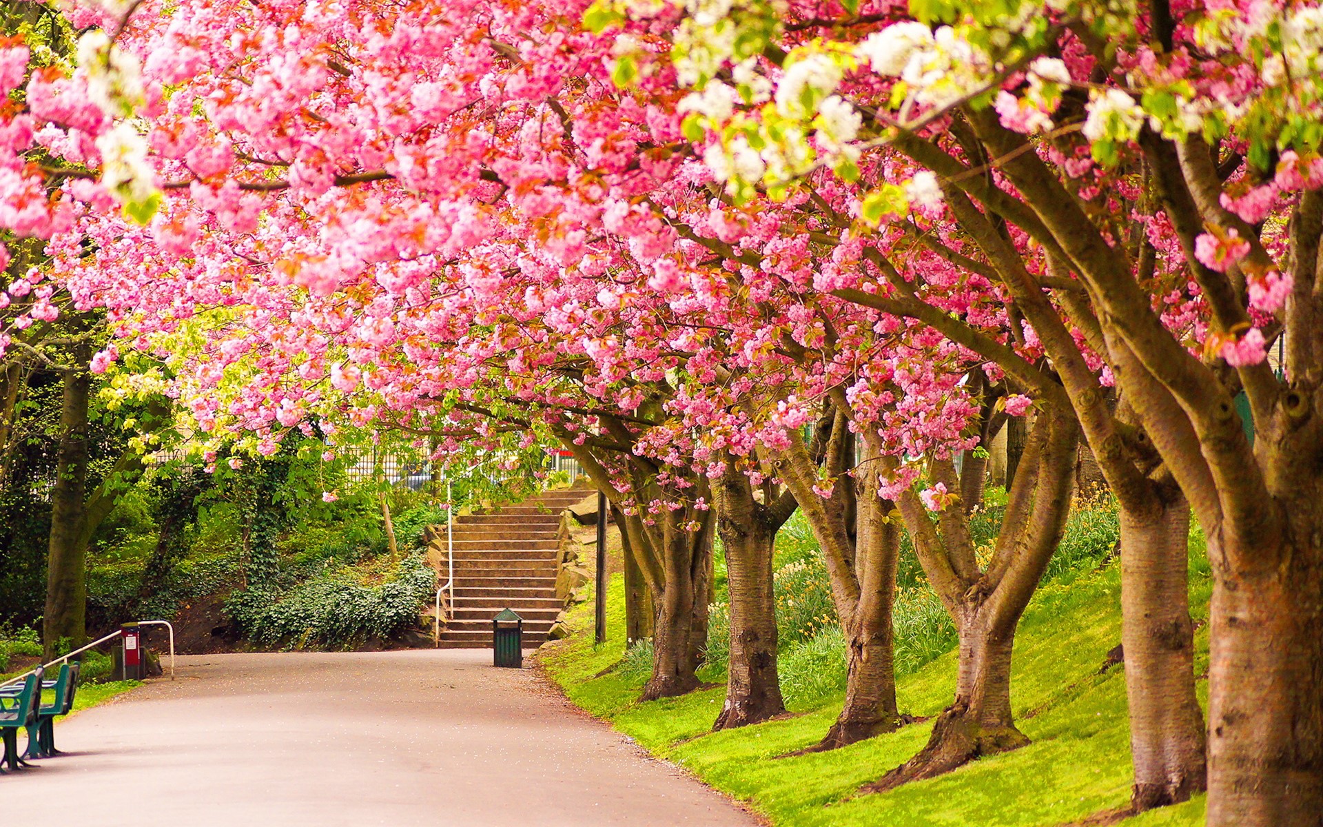 Spring Wallpapers HD download free