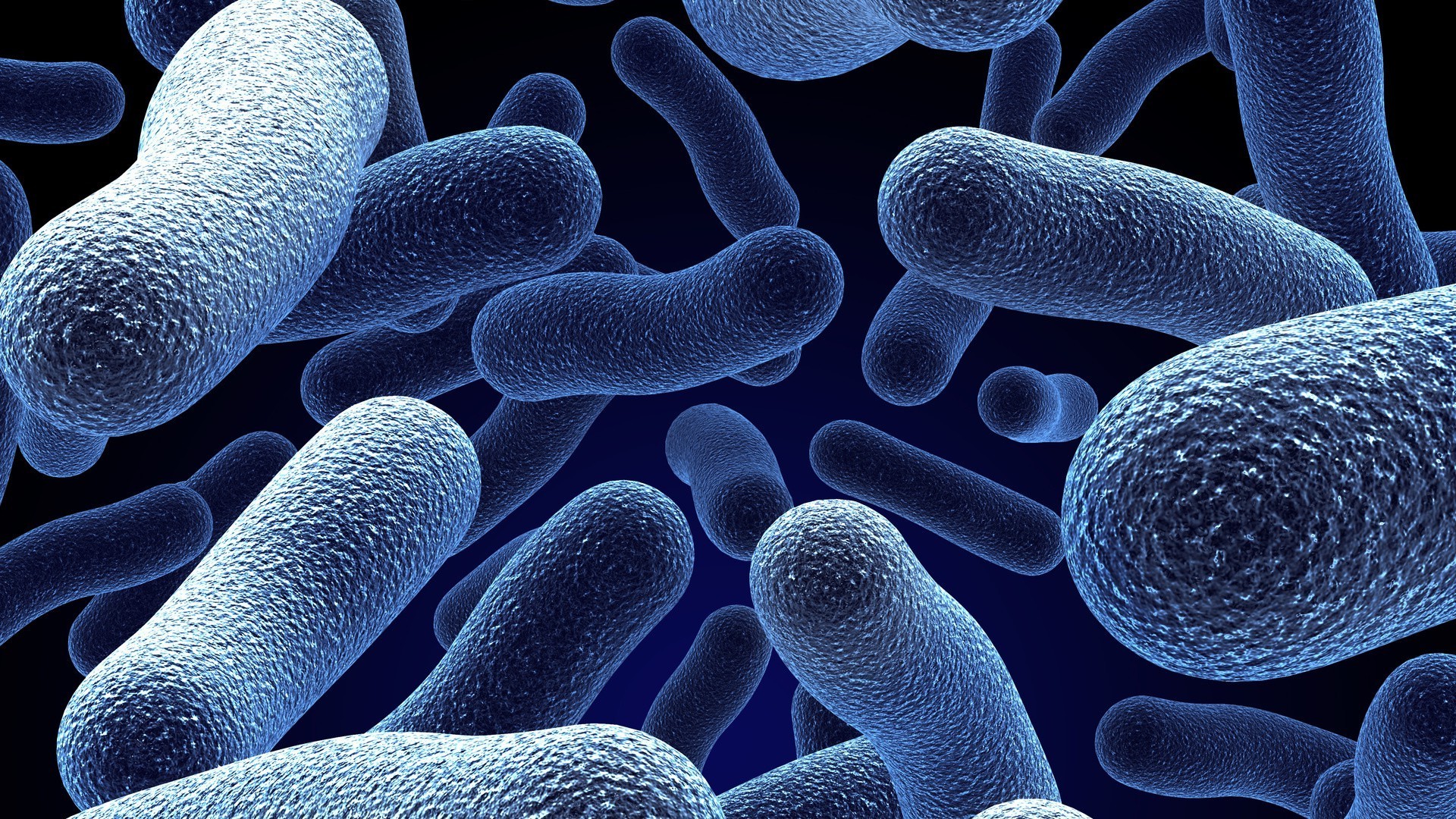 Microorganisms Android Wallpaper